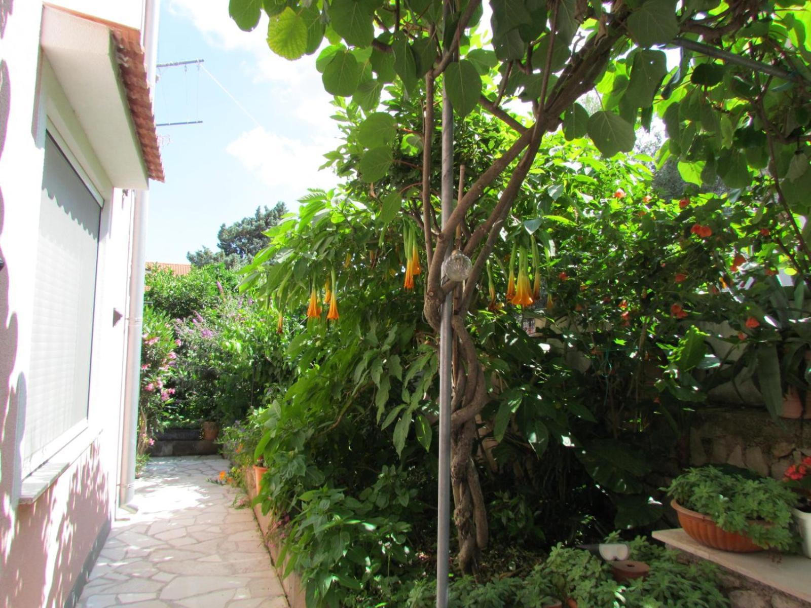 Apartments Bura & Jugo, Cres, Without Stress Exterior photo